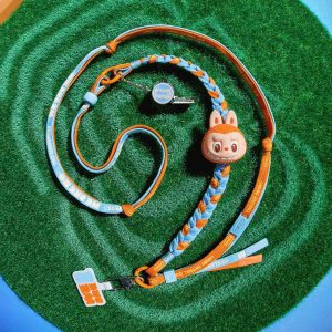 Labubu FIFA Long Lanyard Blind Box – Tour de Cou Collector The Monsters